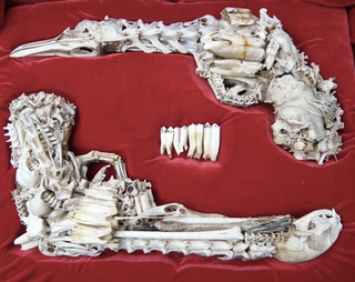 Illustration for article titled For $1,200, two handguns sculpted out of dead cats' bones